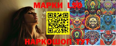 a pvp Краснознаменск