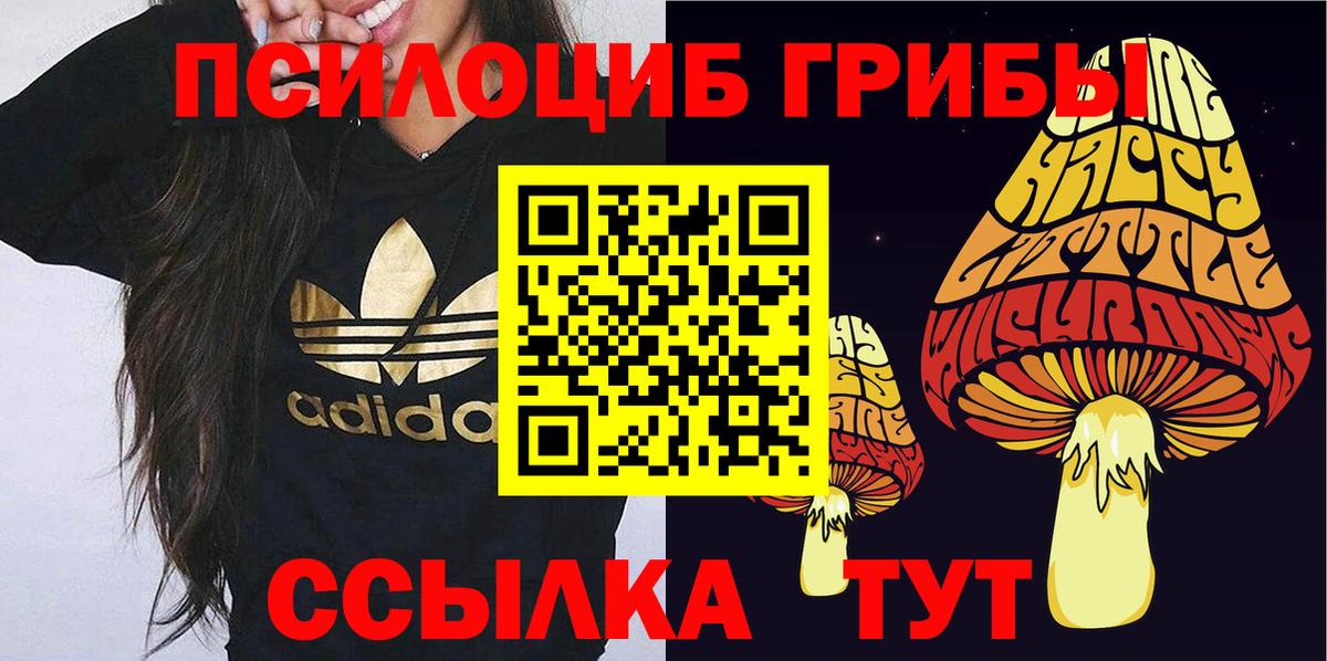 Псилоцибиновые грибы Magic Shrooms Касимов